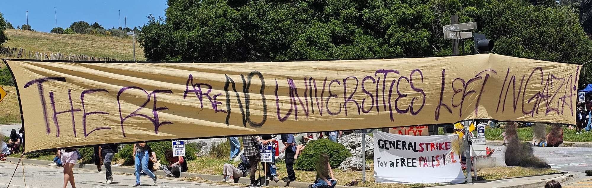 Large banner at strike and Palestine protest that reads "There are no universities left in Gaza." and another banner that reads "General strike for a free Palestine"