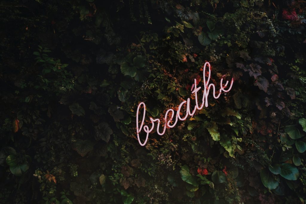 dark leafy background with pink neon letters that spell breathe